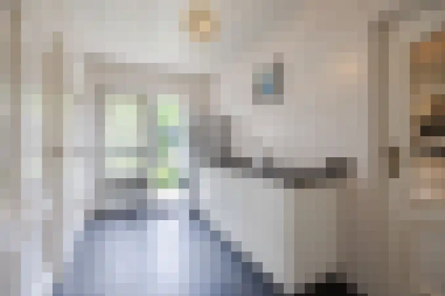 van Heemskerckstraat 19 Dinteloord thumbnail 41