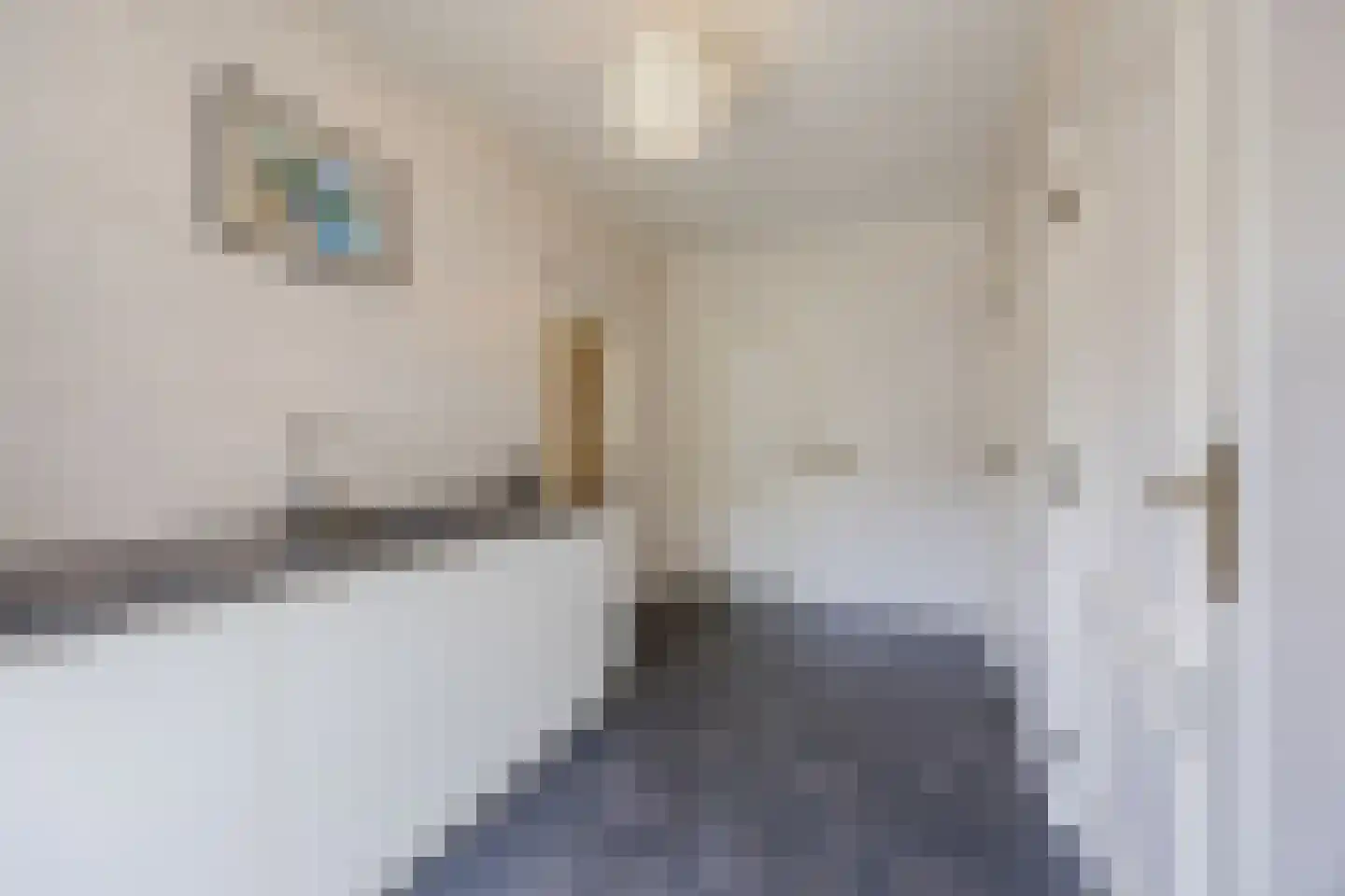 van Heemskerckstraat 19 Dinteloord thumbnail 42