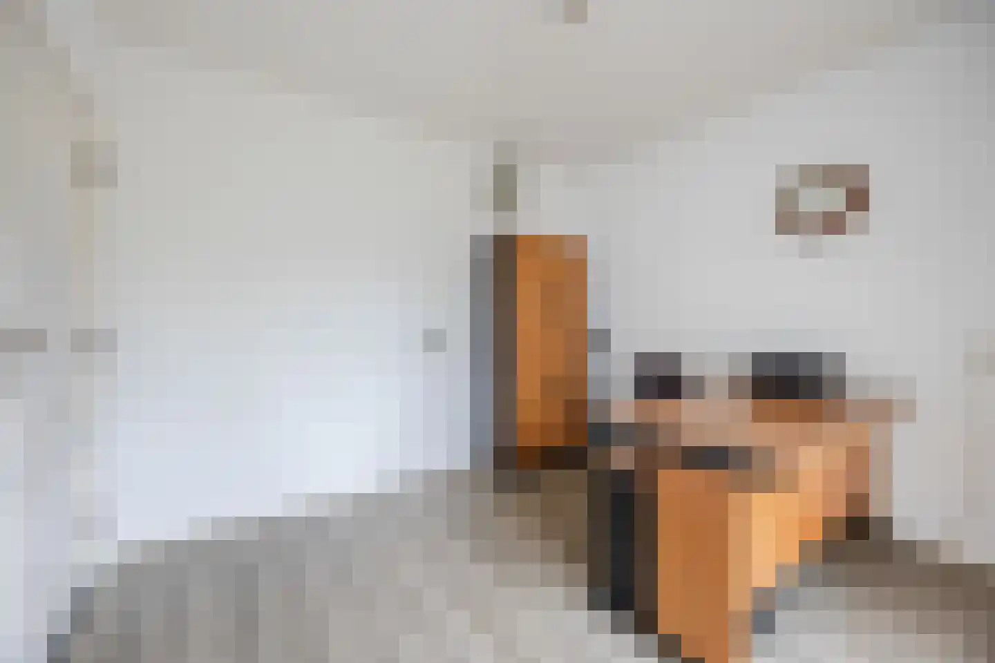 van Heemskerckstraat 19 Dinteloord thumbnail 44