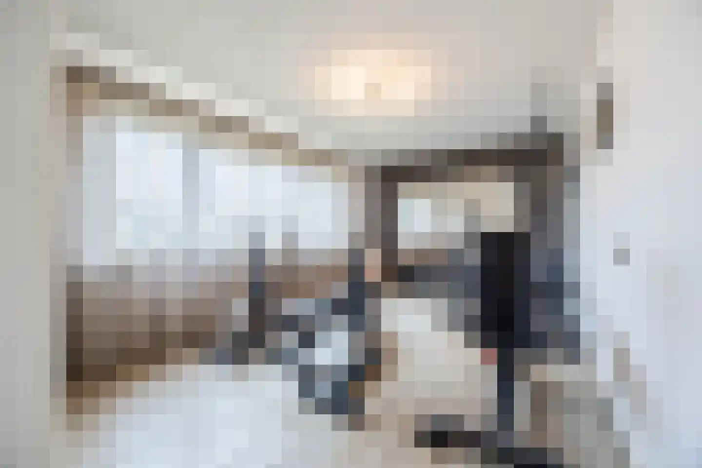 van Heemskerckstraat 19 Dinteloord thumbnail 45