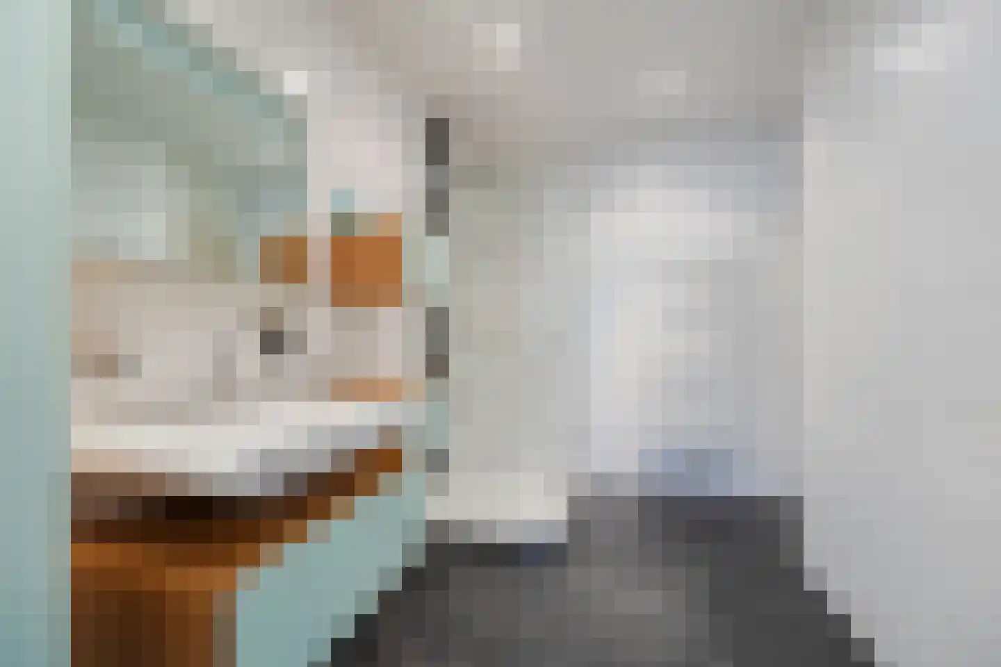 van Heemskerckstraat 19 Dinteloord thumbnail 47