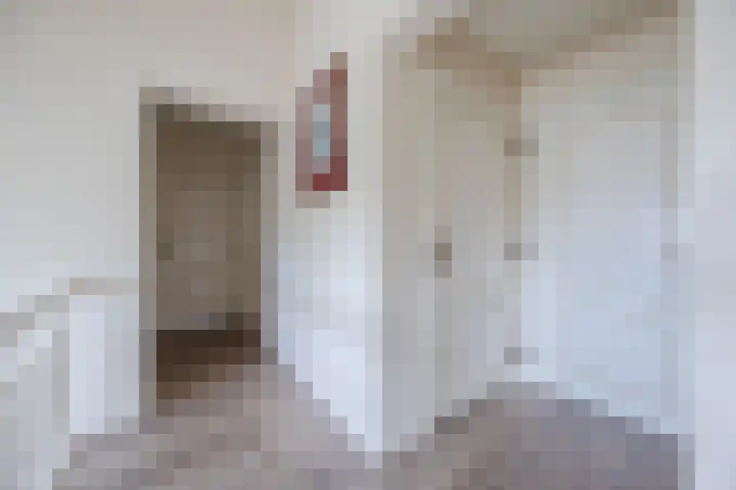 van Heemskerckstraat 19 Dinteloord thumbnail 50