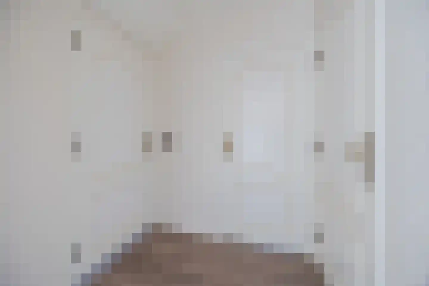 van Heemskerckstraat 19 Dinteloord thumbnail 51