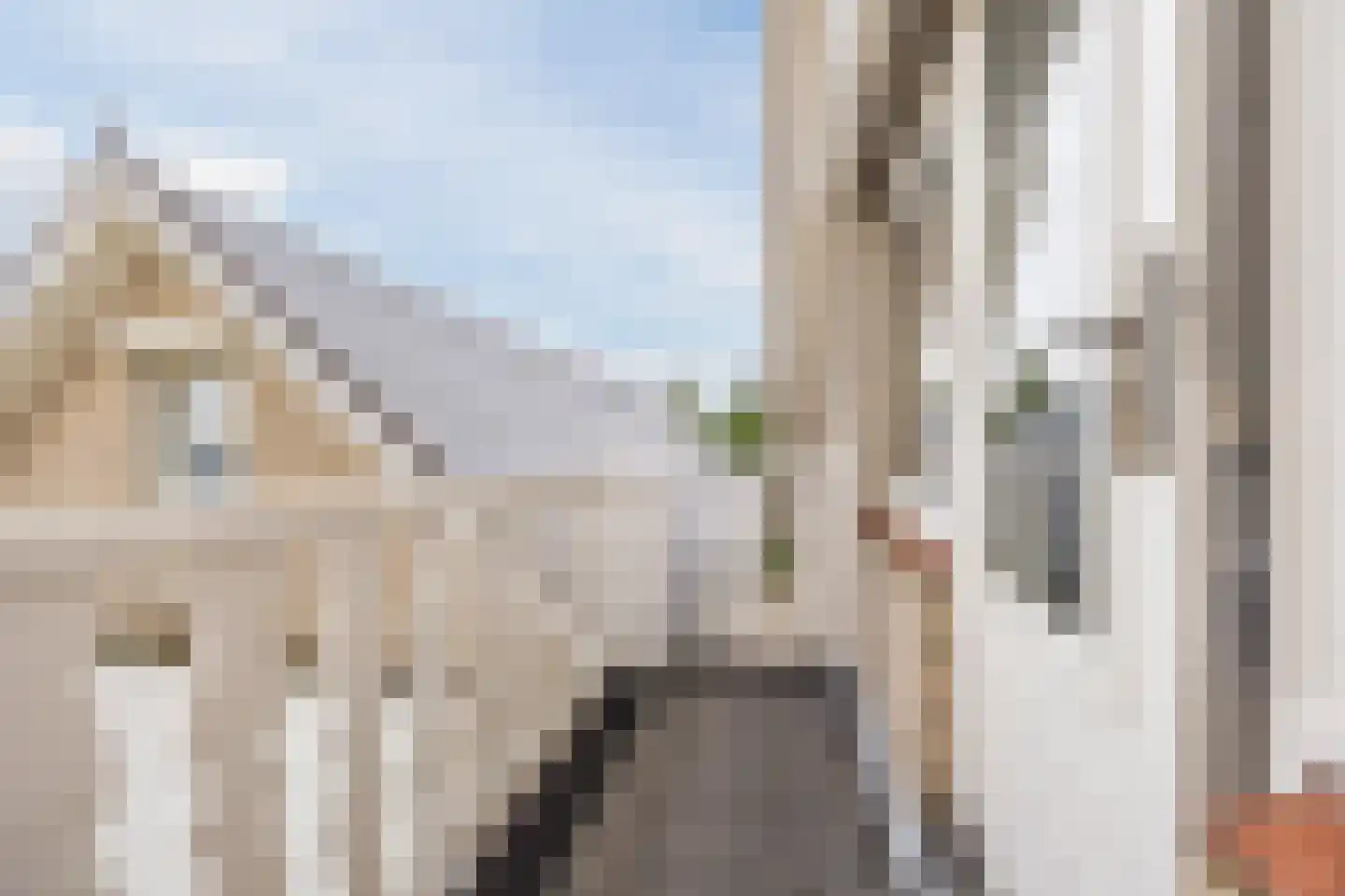 van Heemskerckstraat 19 Dinteloord thumbnail 57