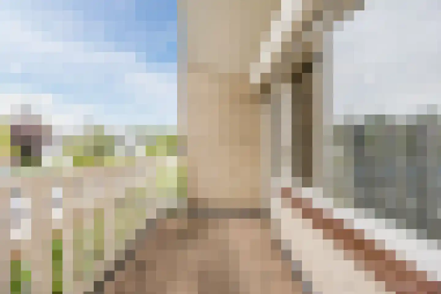 van Heemskerckstraat 19 Dinteloord thumbnail 64