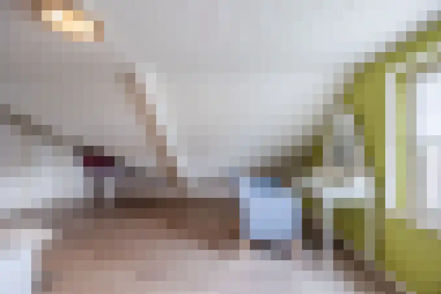 van Heemskerckstraat 19 Dinteloord thumbnail 67