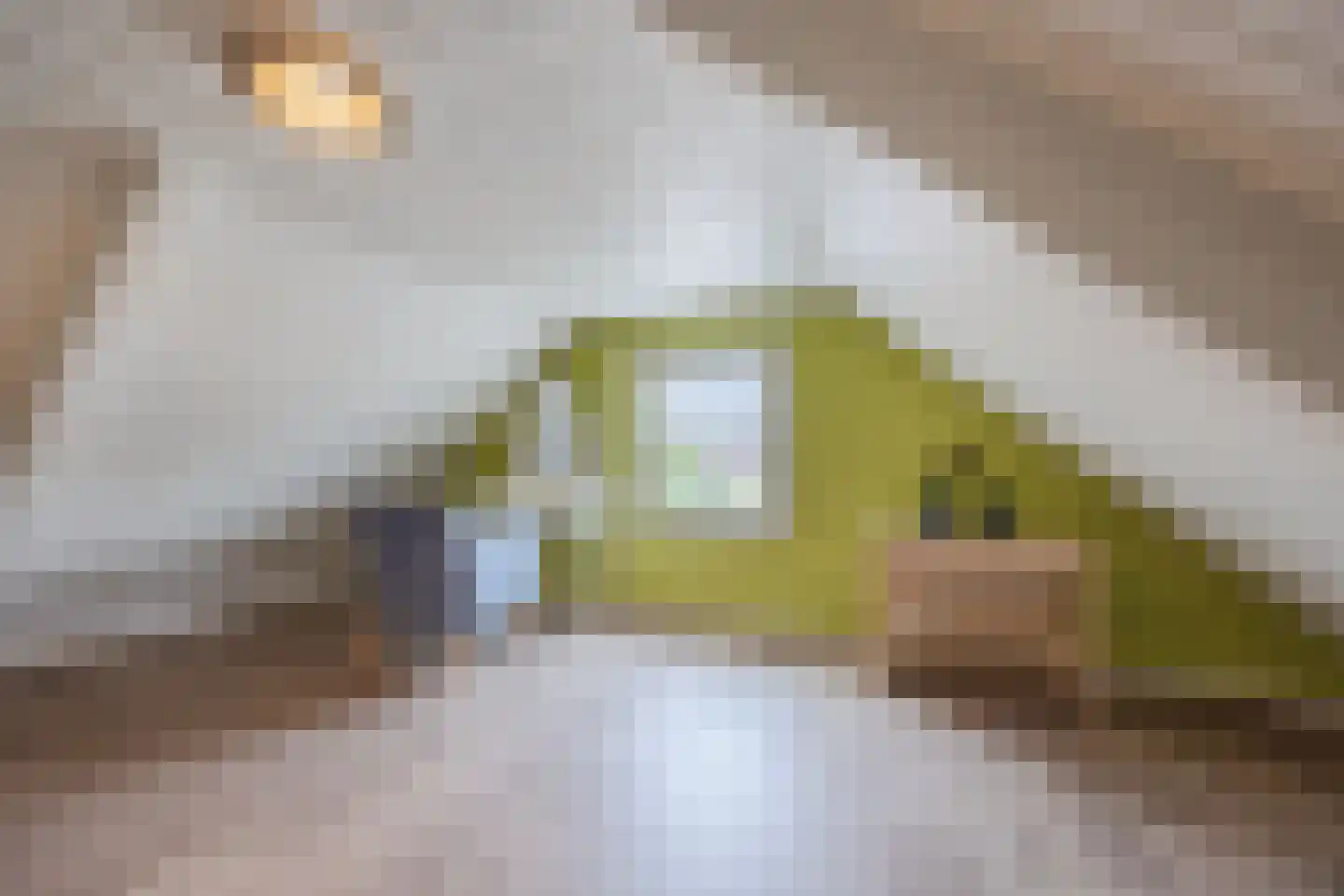 van Heemskerckstraat 19 Dinteloord thumbnail 68