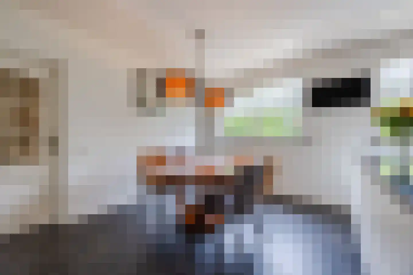 van Heemskerckstraat 19 Dinteloord thumbnail 7