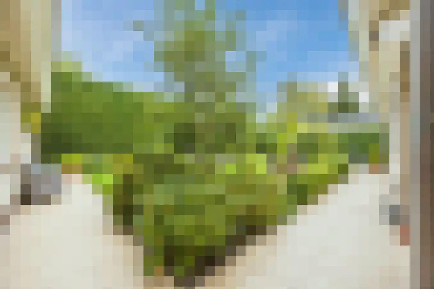 van Heemskerckstraat 19 Dinteloord thumbnail 75