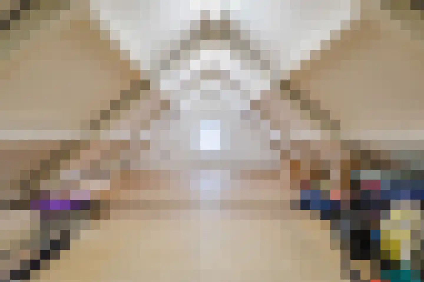 van Heemskerckstraat 19 Dinteloord thumbnail 93