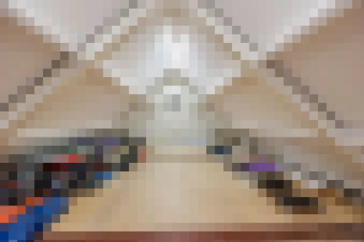 van Heemskerckstraat 19 Dinteloord thumbnail 94