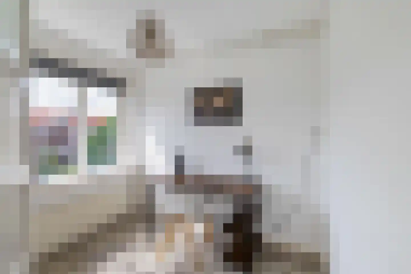 Van Heemskerckstraat 20 a Groningen thumbnail 20