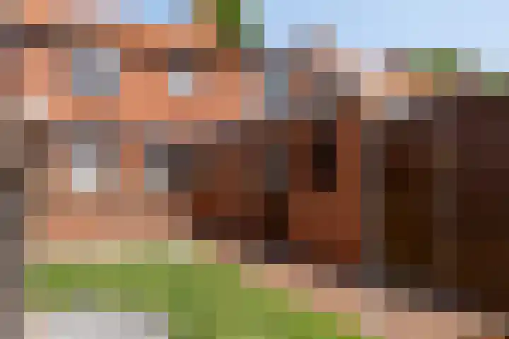 van Heemskerckstraat 21 Hoogezand thumbnail 21