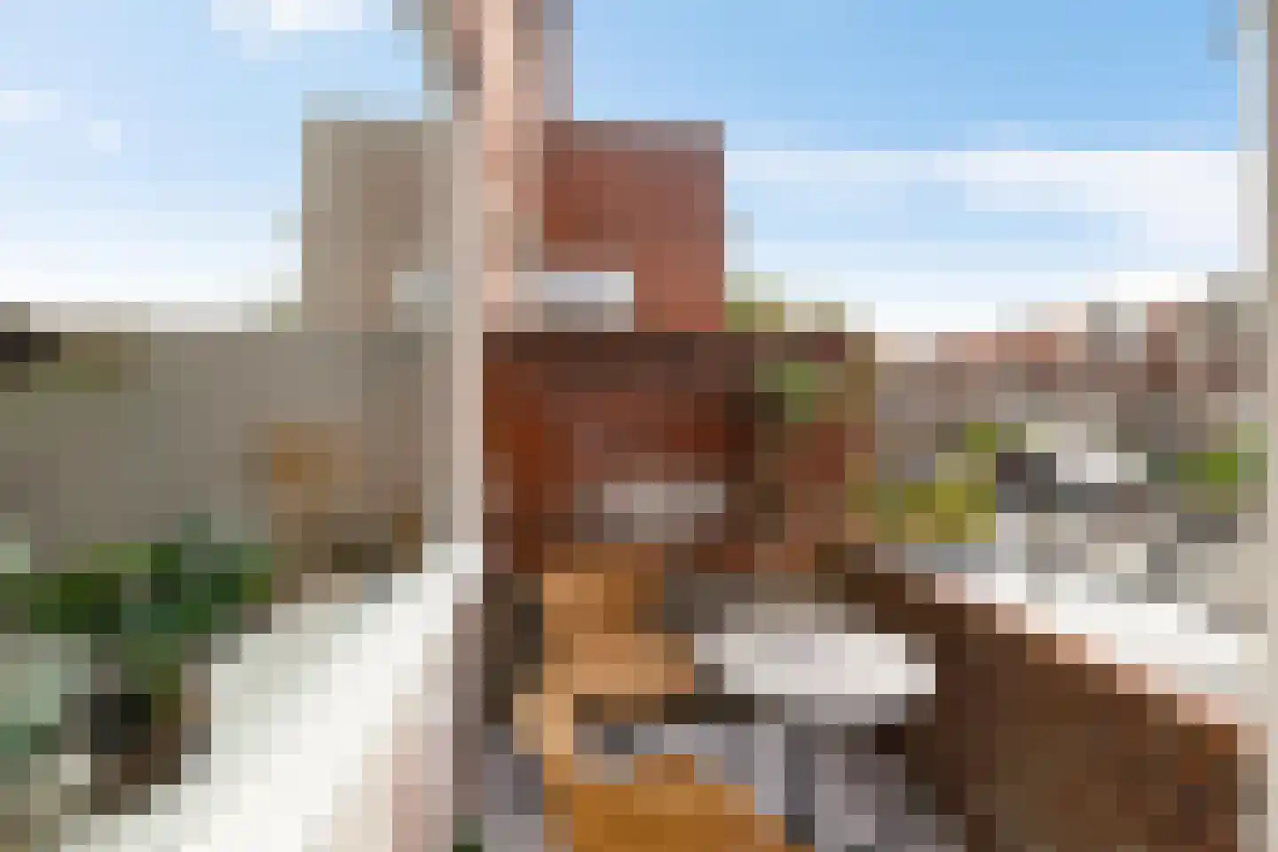 Van Heemskerckstraat 22 b Groningen thumbnail 16