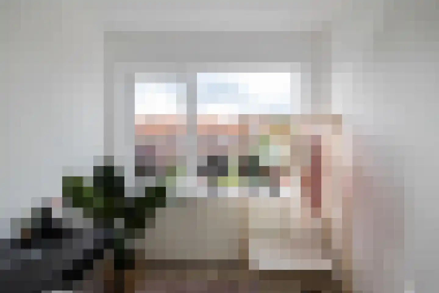 Van Heemskerckstraat 22 b Groningen thumbnail 20