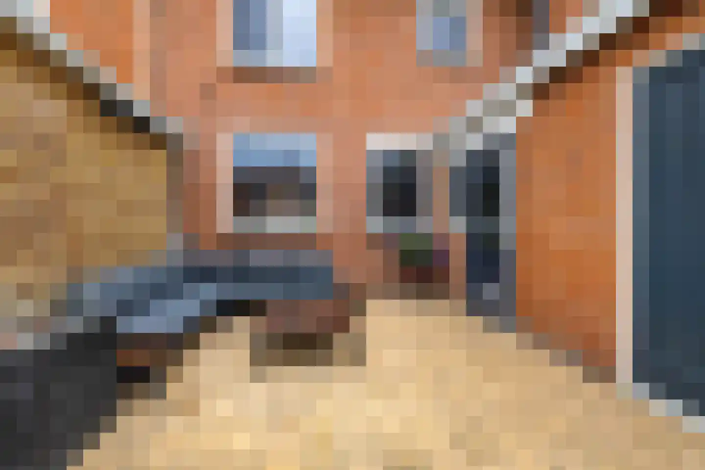 van Heemskerckstraat 23 Hoogezand thumbnail 37