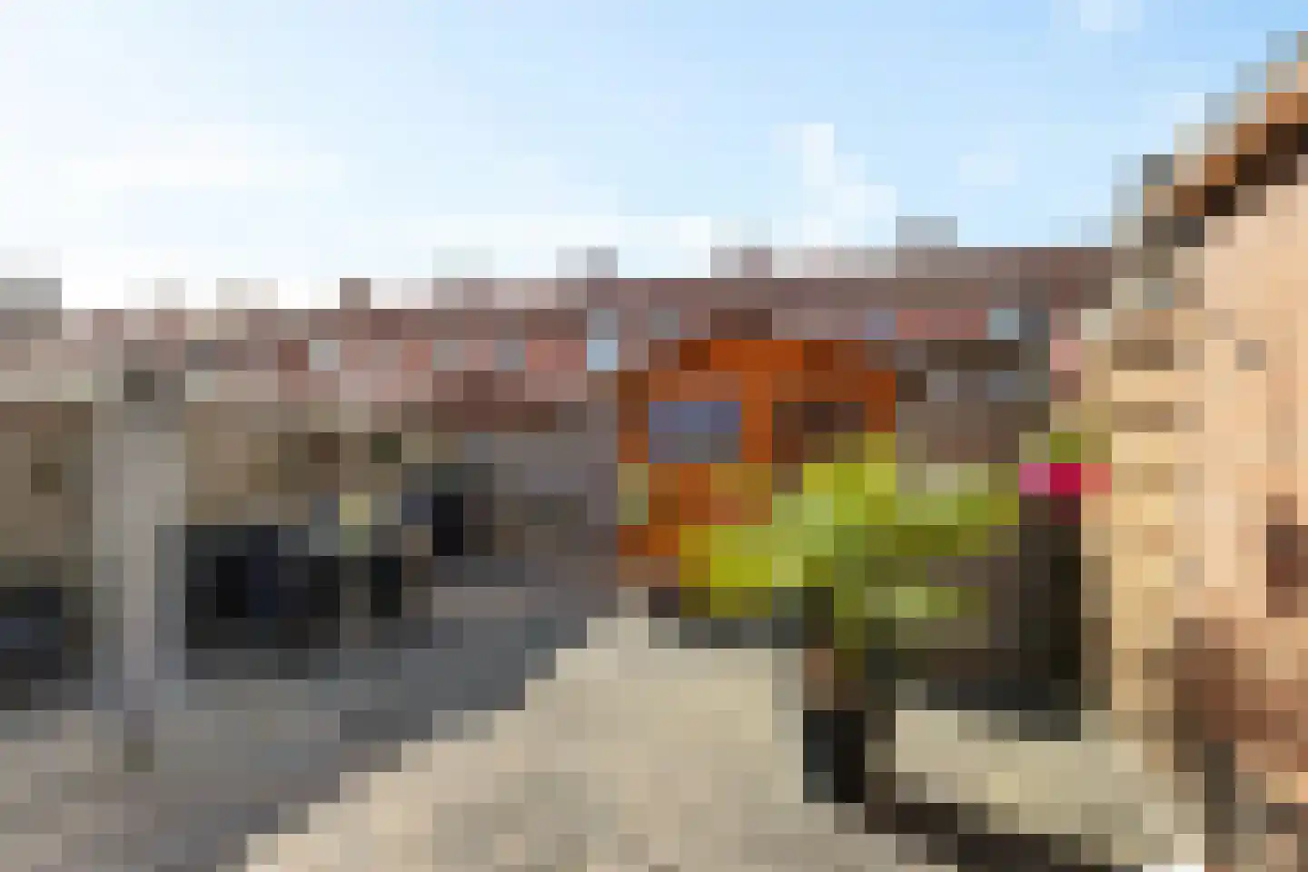 van Heemskerckstraat 31 Hoogezand thumbnail 31