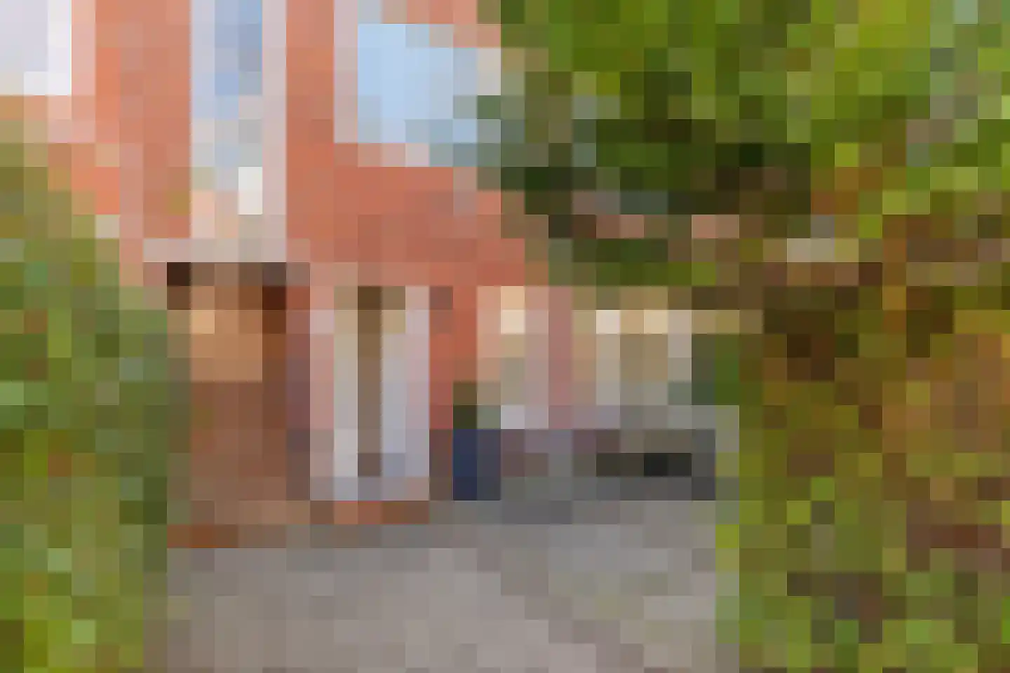 Van Heemskerckstraat 32 Groningen
