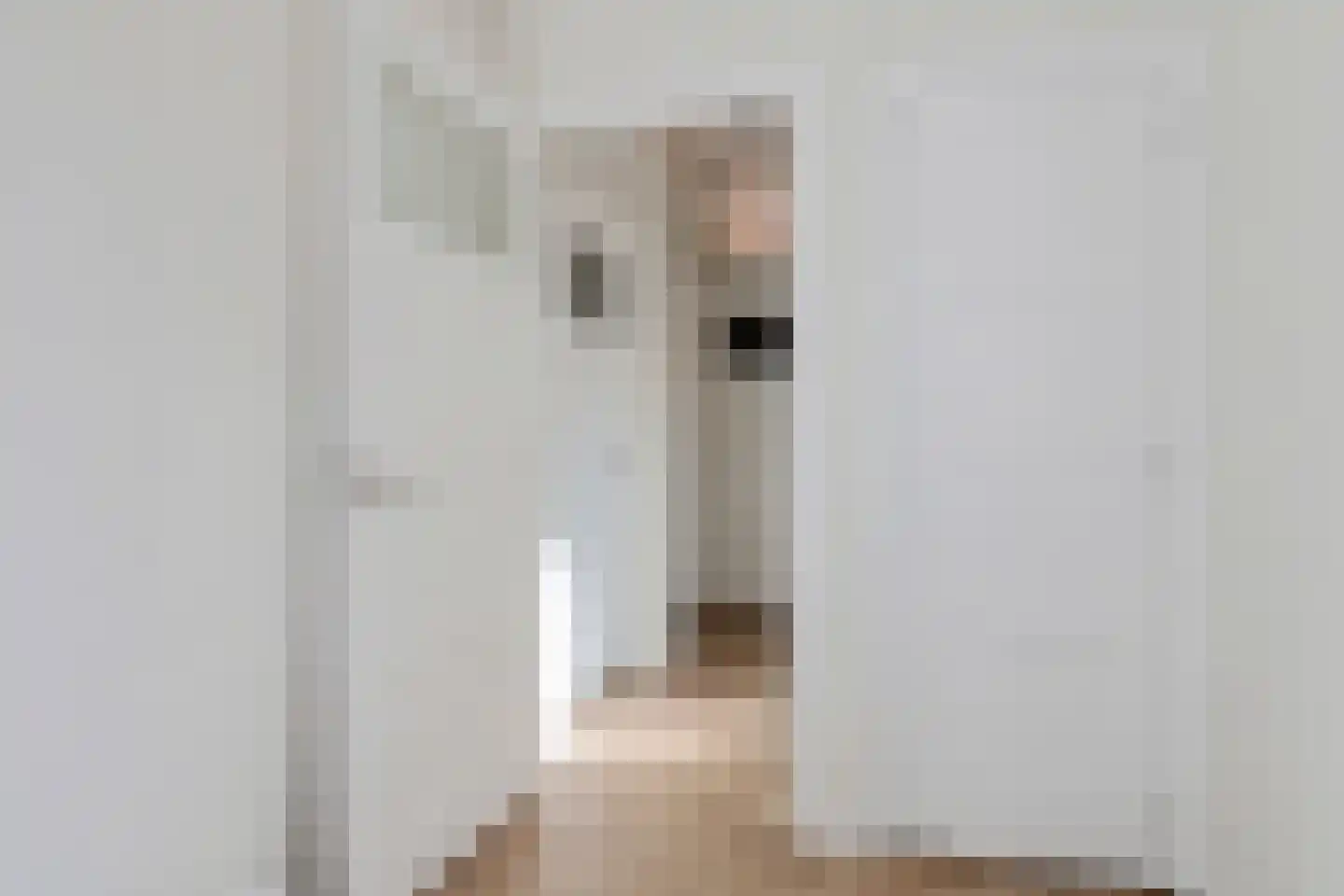 Van Heemskerckstraat 32 Groningen thumbnail 26