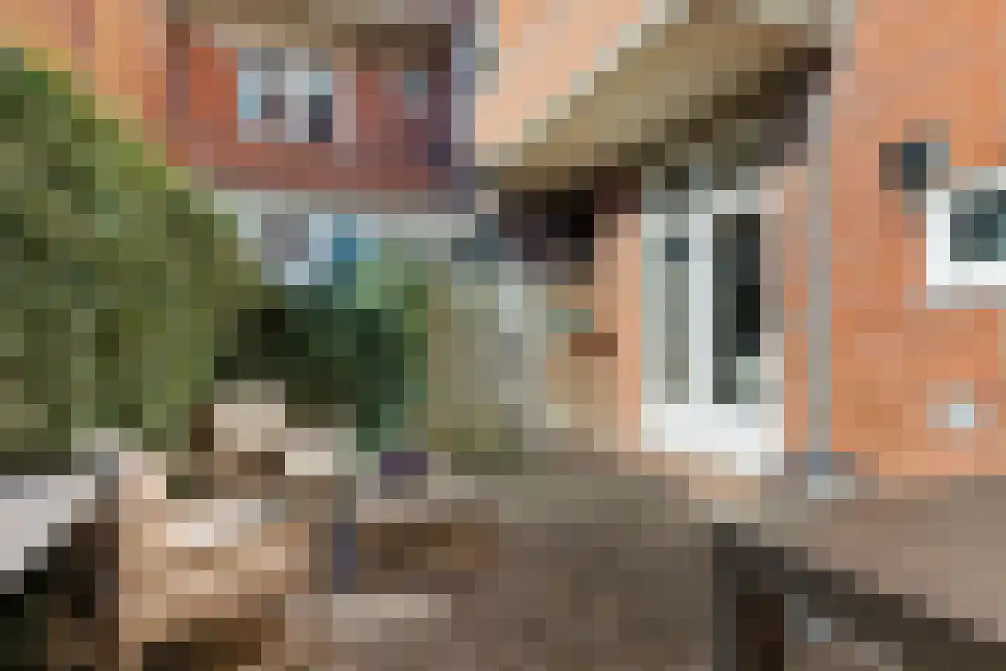 Van Heemskerckstraat 32 Groningen thumbnail 36