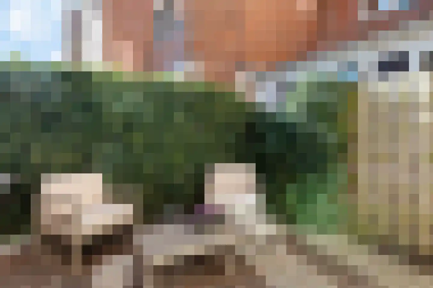 Van Heemskerckstraat 32 Groningen thumbnail 38