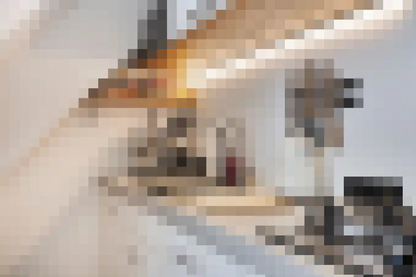 Van Heemskerckstraat 33 3 Amsterdam thumbnail 13