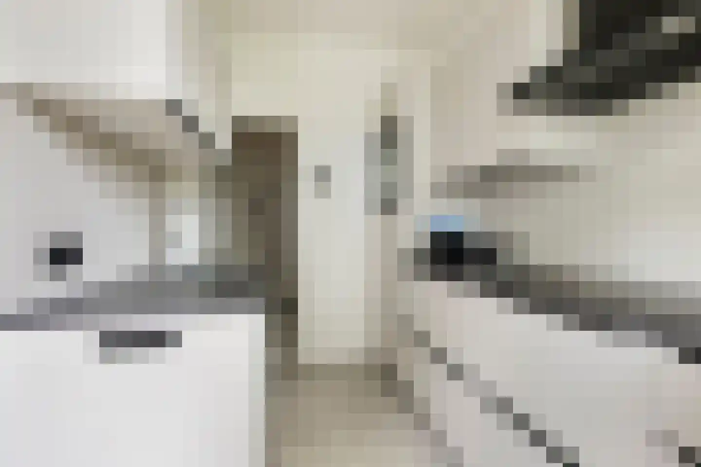 Van Heemskerckstraat 45 a Groningen thumbnail 21