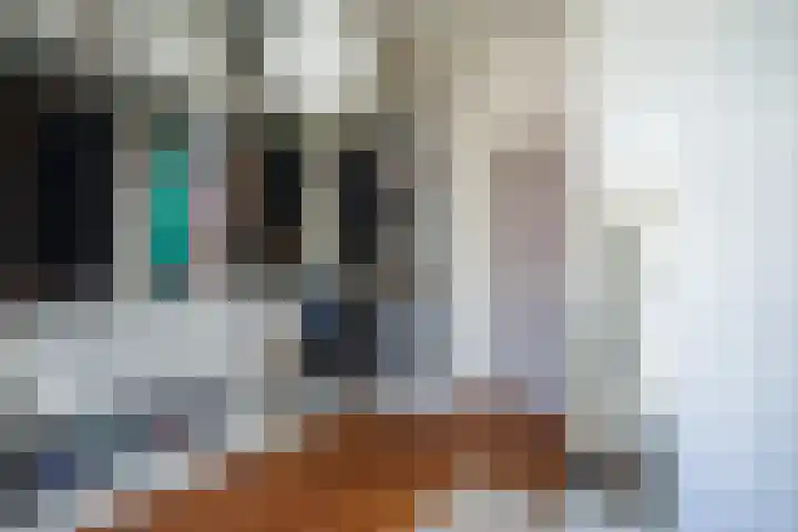 van Heemskerckstraat 45 Nijmegen thumbnail 37