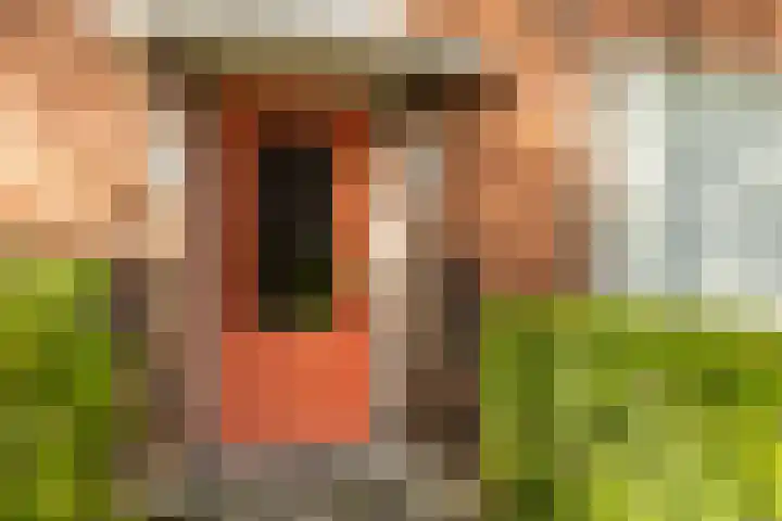 Van Heemskerckstraat 47 a Groningen thumbnail 25