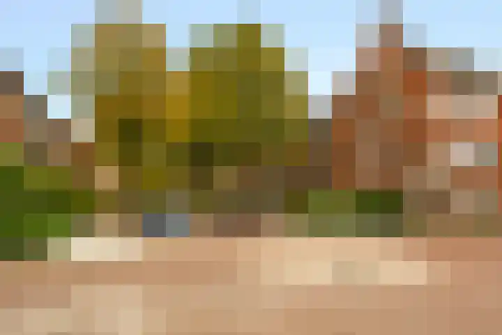 Van Heemskerckstraat 47 a Groningen thumbnail 31