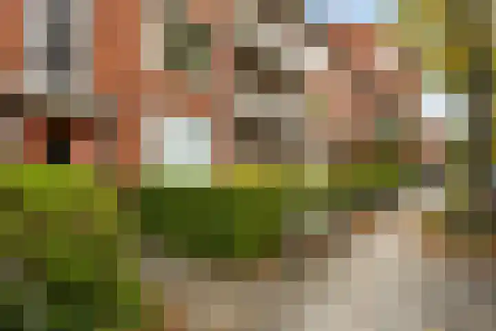 Van Heemskerckstraat 47 a Groningen thumbnail 32