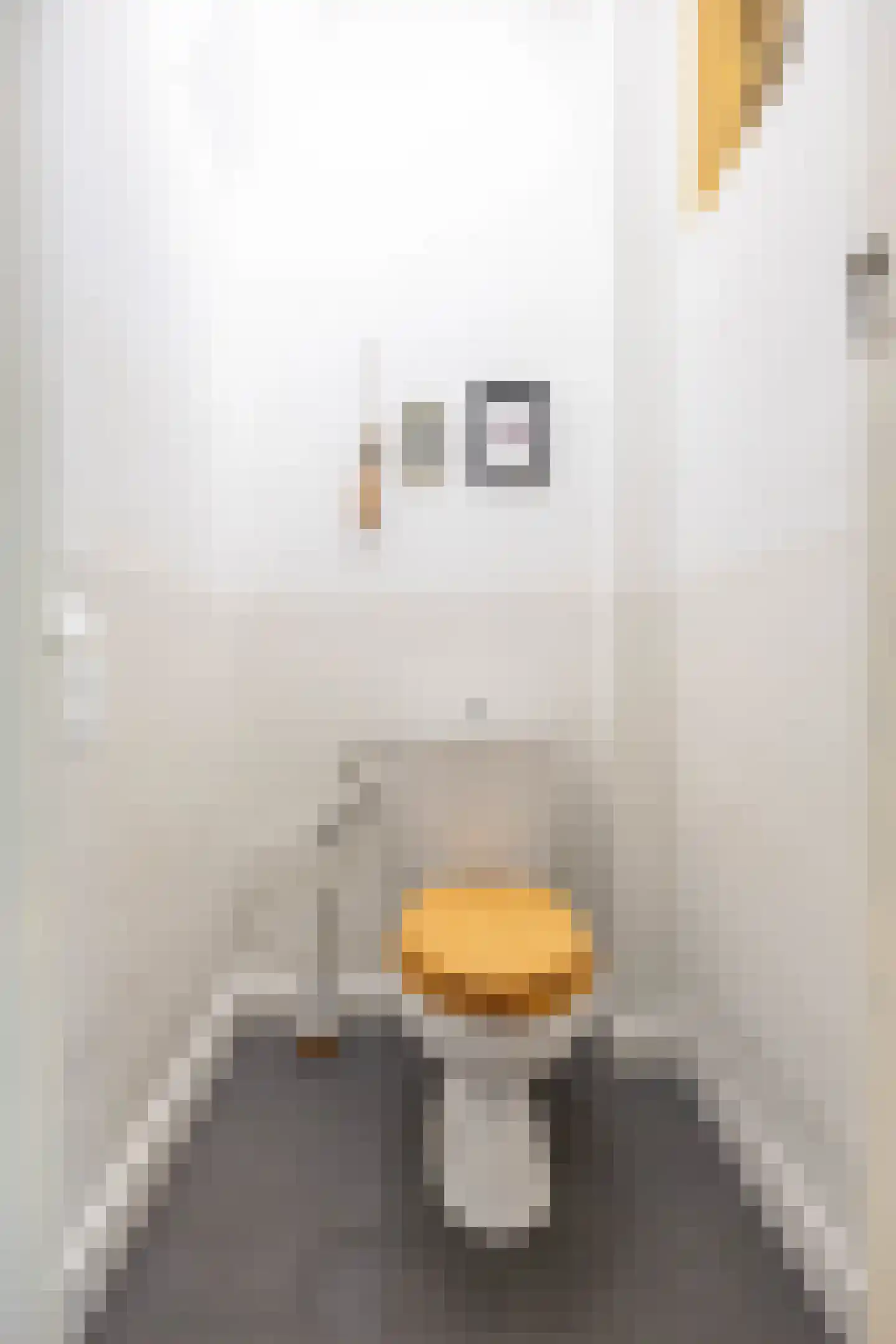 Van Heemskerckstraat 47 Groningen thumbnail 25