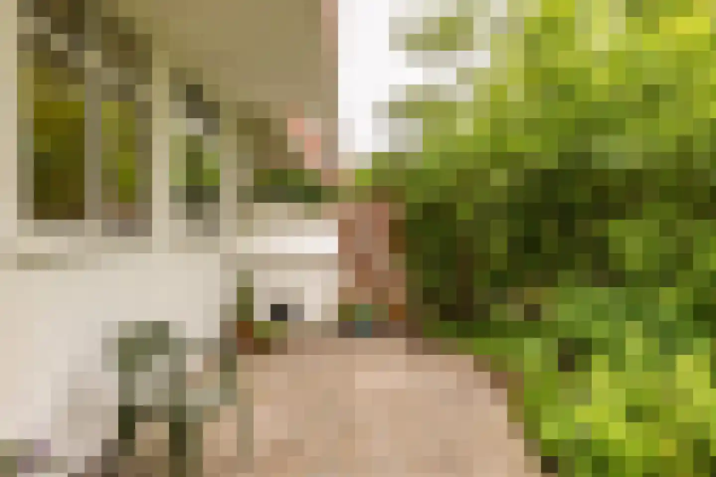 Van Heemskerckstraat 47 Groningen thumbnail 26