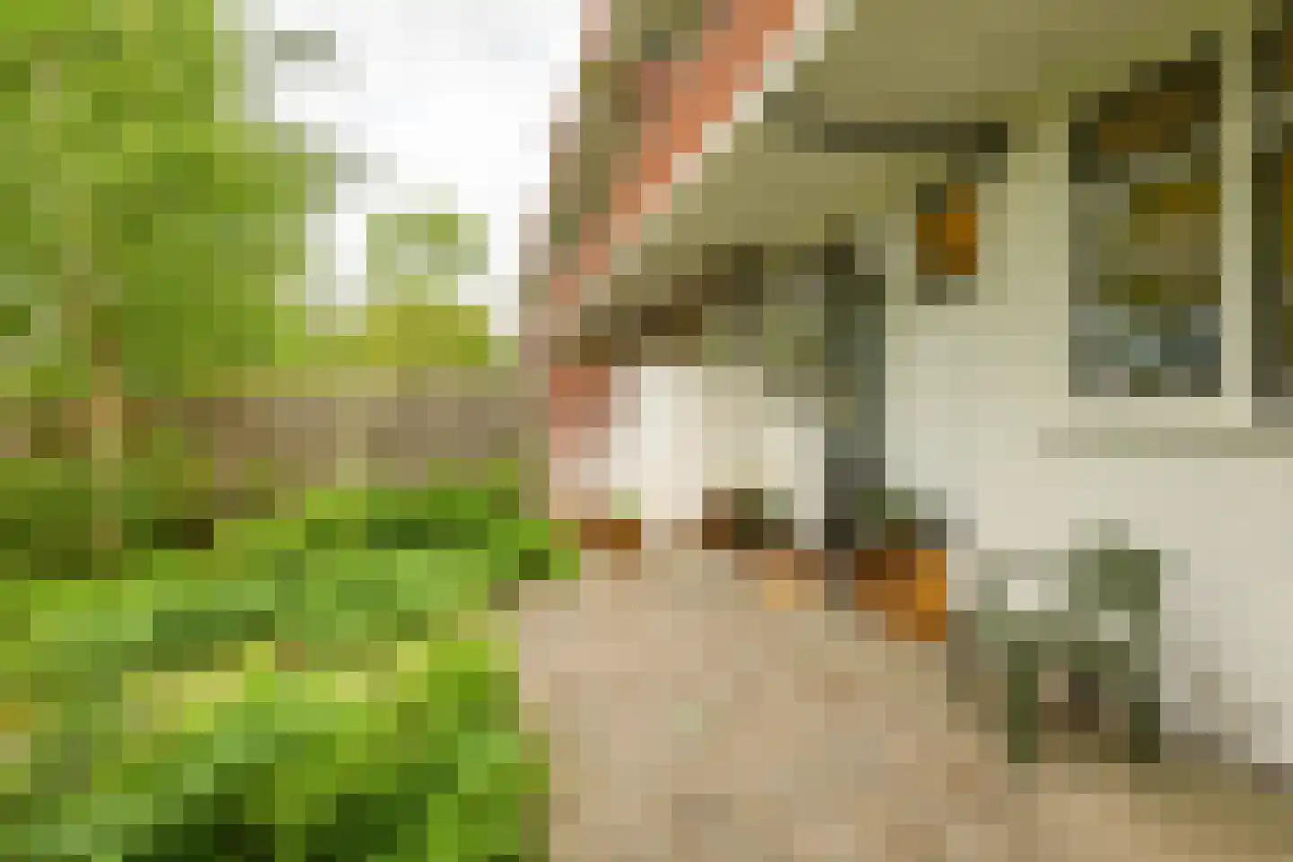 Van Heemskerckstraat 47 Groningen thumbnail 27