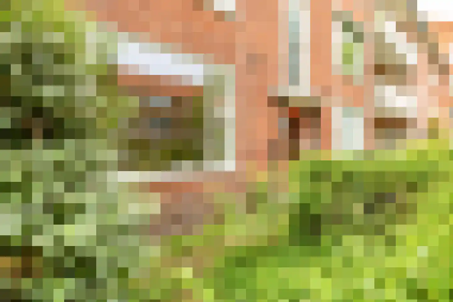 Van Heemskerckstraat 47 Groningen thumbnail 4