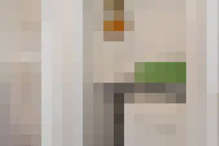 Van Heemskerckstraat 49 Groningen thumbnail 22