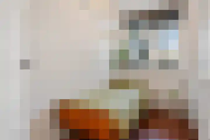 Van Heemskerckstraat 49 Groningen thumbnail 30