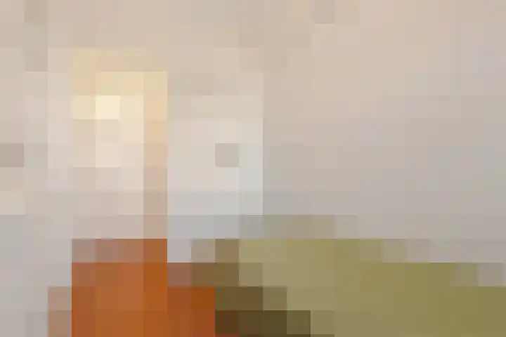 Van Heemskerckstraat 49 Groningen thumbnail 31