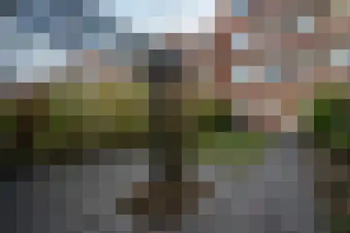 Van Heemskerckstraat 49 Groningen thumbnail 34