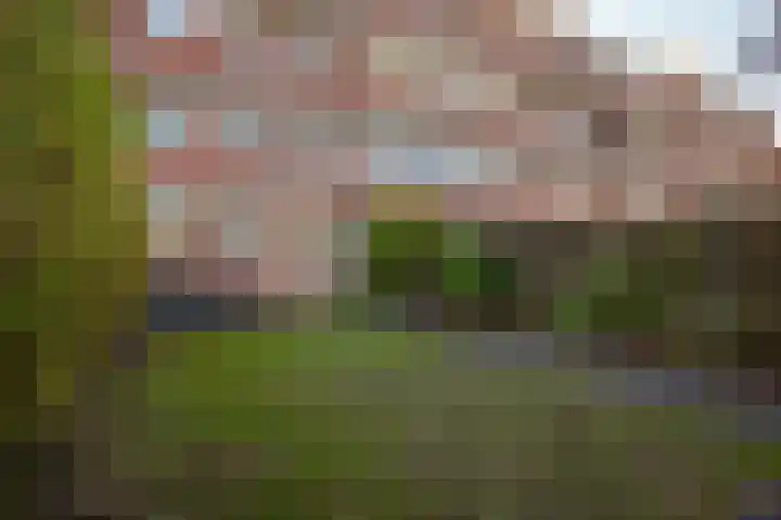 Van Heemskerckstraat 49 Groningen thumbnail 35