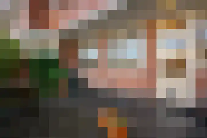 Van Heemskerckstraat 49 Groningen thumbnail 37
