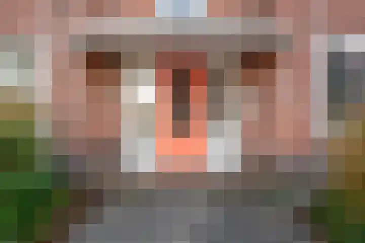 Van Heemskerckstraat 49 Groningen thumbnail 39