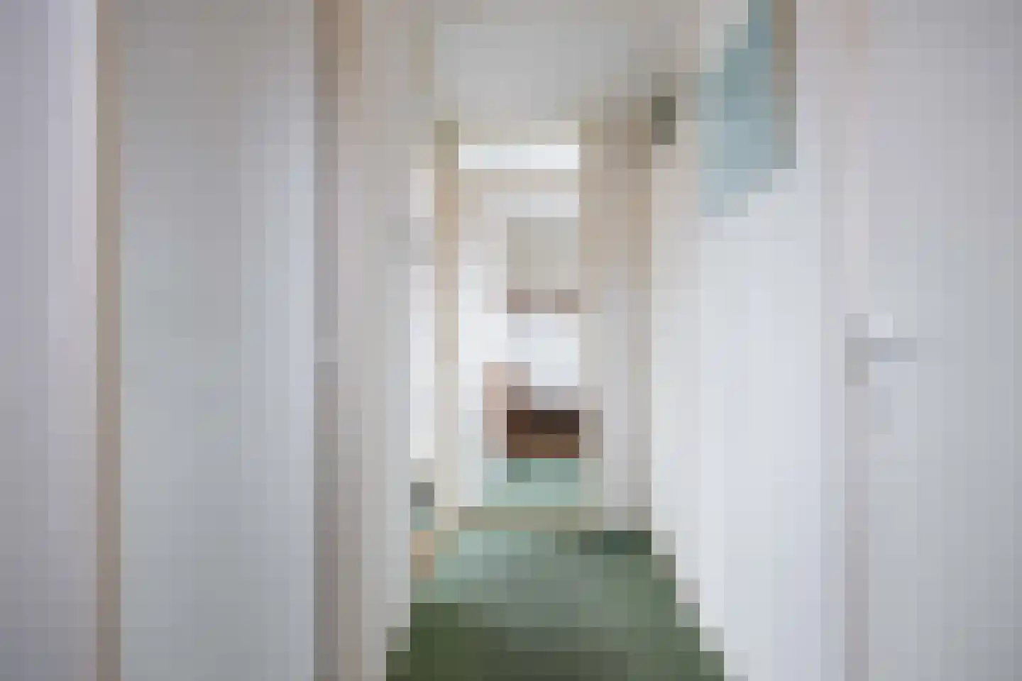 Van Heemskerckstraat 5 Bedum thumbnail 34
