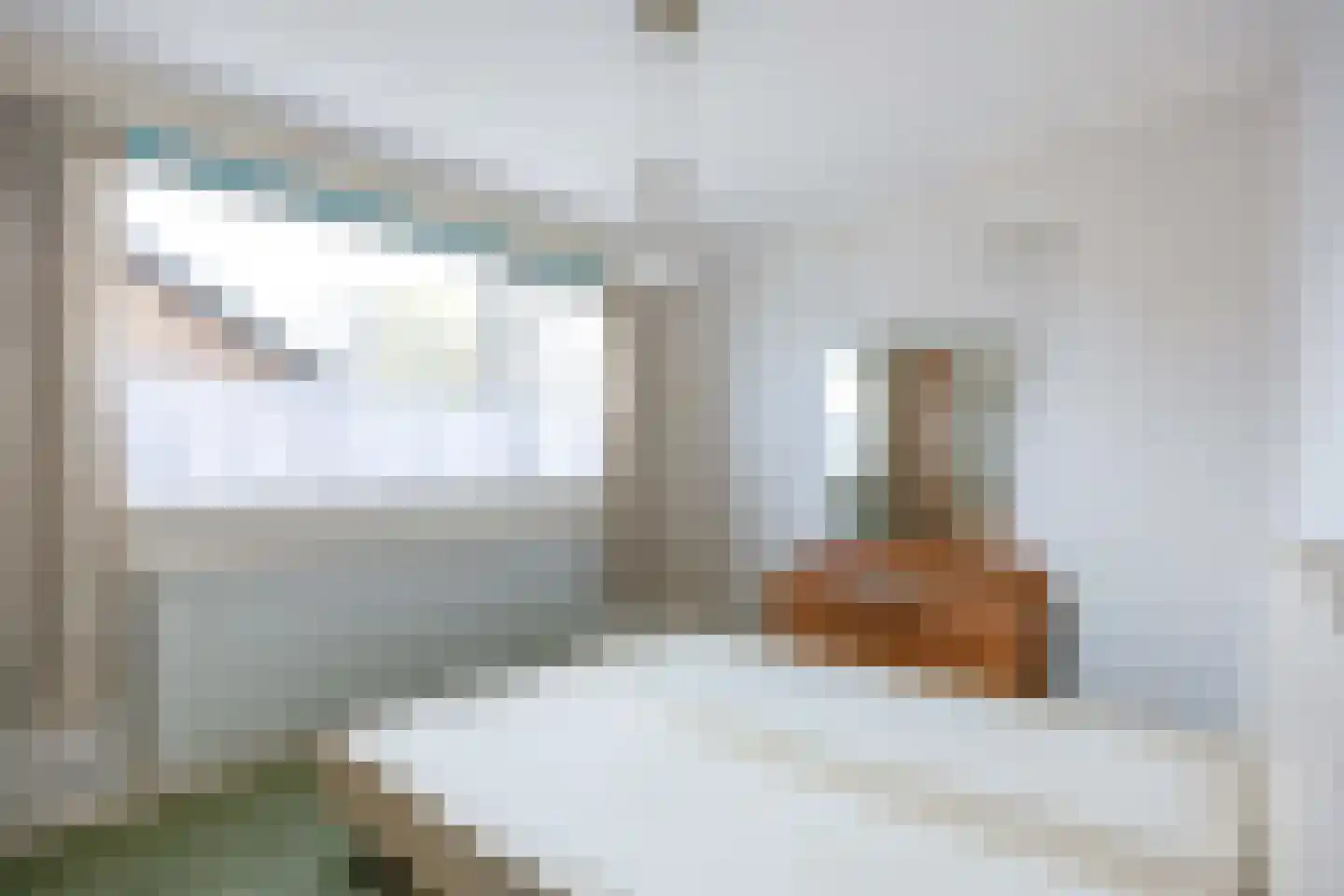 Van Heemskerckstraat 5 Bedum thumbnail 38