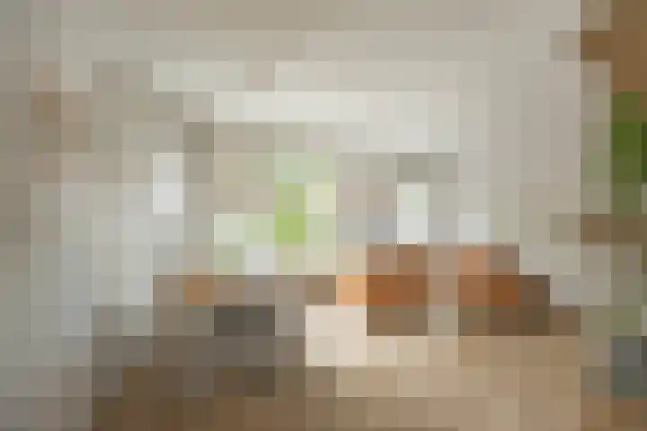 Van Heemskerckstraat 51 a Groningen thumbnail 10