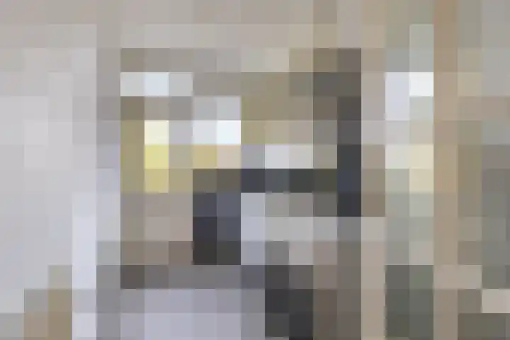Van Heemskerckstraat 51 c Groningen thumbnail 4