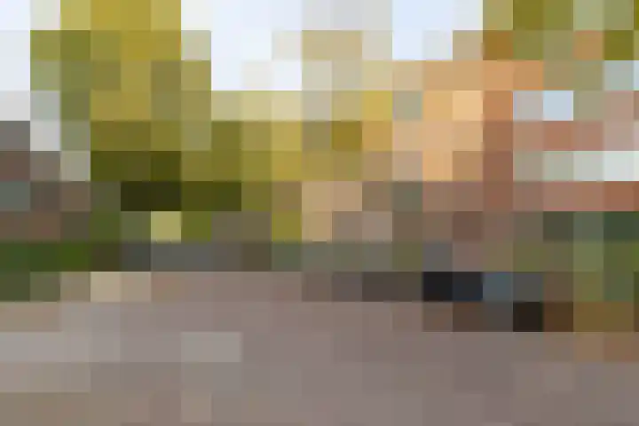 Van Heemskerckstraat 51 c Groningen thumbnail 6