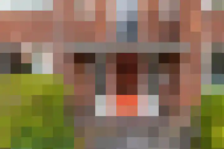 Van Heemskerckstraat 51 c Groningen thumbnail 8