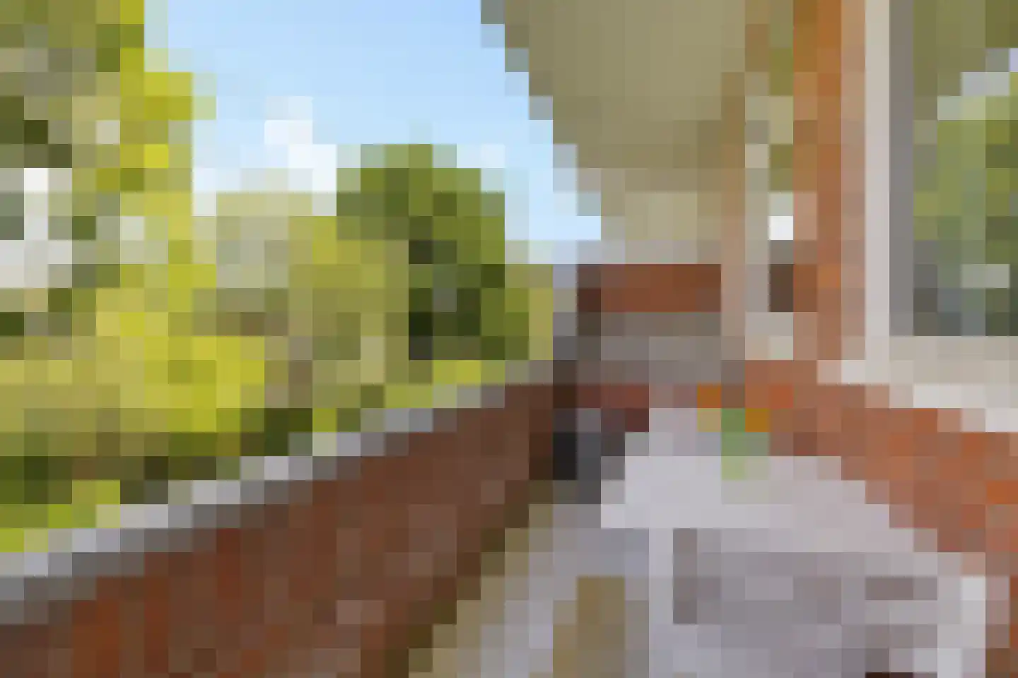 Van Heemskerckstraat 53 b Groningen thumbnail 19