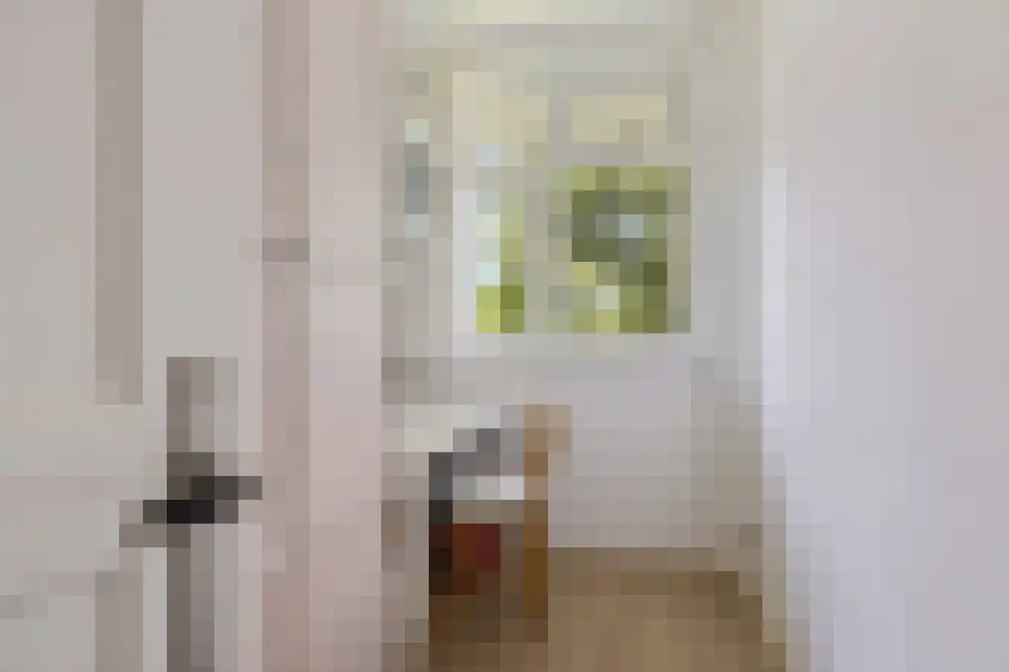 Van Heemskerckstraat 53 b Groningen thumbnail 29